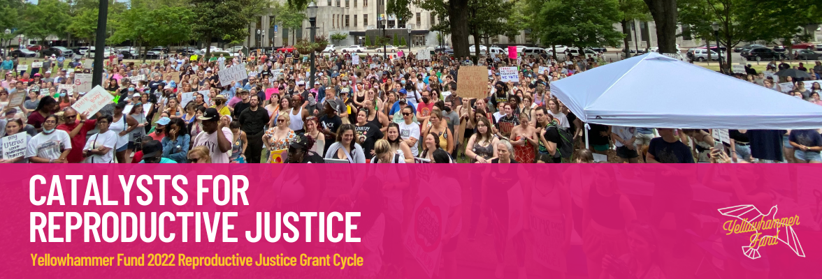 Catalysts for Reproductive Justice Grant 2022