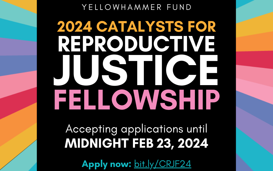 Southerners – this Reproductive Justice Fellowship is for YOU!